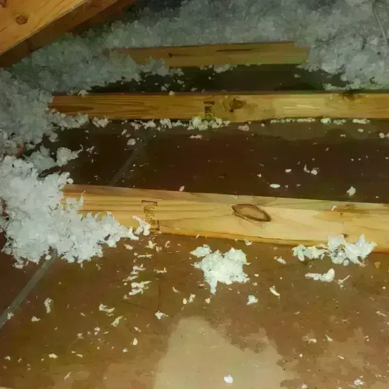 Attic Water Damage in Fowler, MI