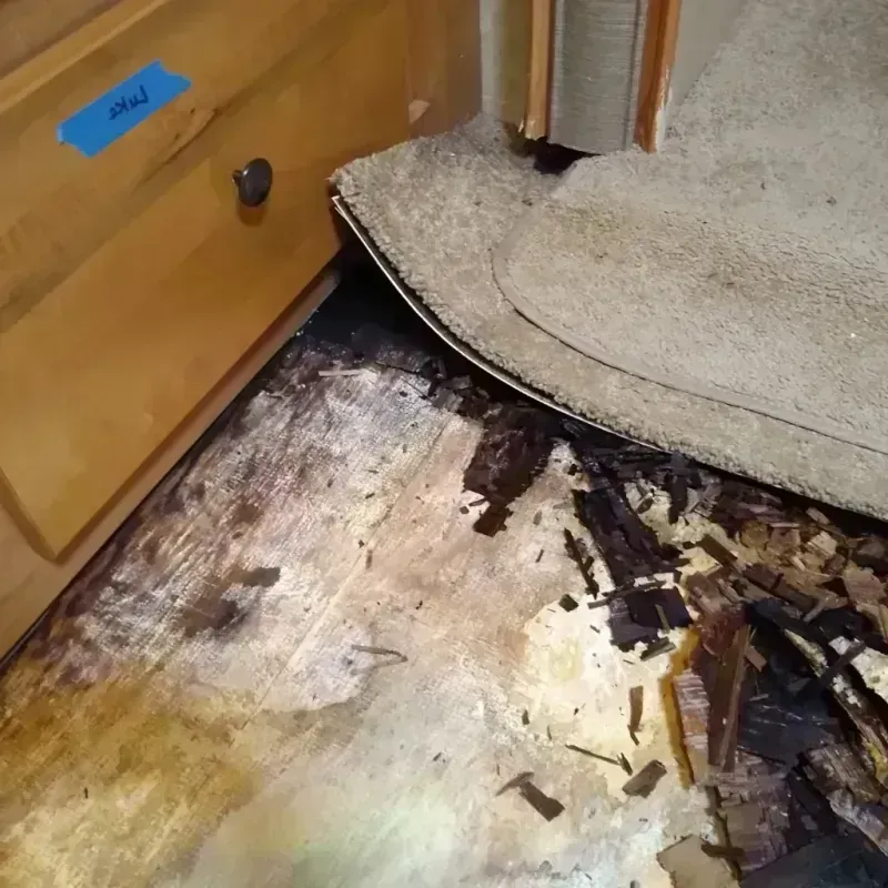 Wood Floor Water Damage in Fowler, MI